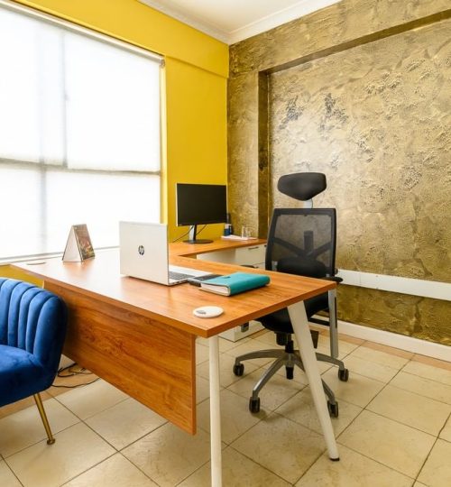 WhatsApp Image 2023-06-24 at 10.08.40